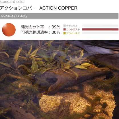 actioncopper